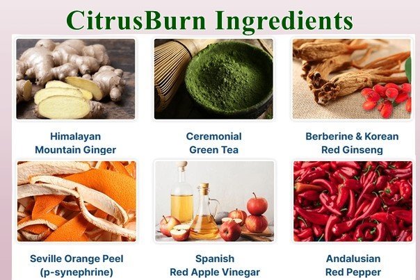 Citrusburn Ingredients